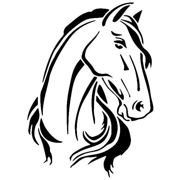 Horse no avatar 5115e69ec0510f420921f512bb3c9cf2accd49a4214271a930317c4576795ee3