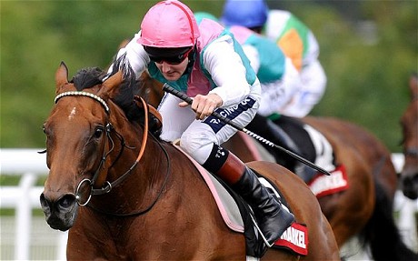 Midday horse 1970836c