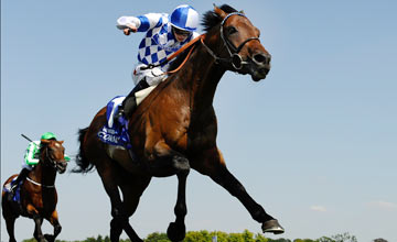 Alkazeem