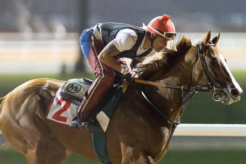 California chrome