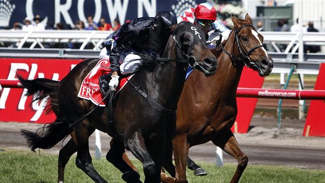 Favourite%20fiorente