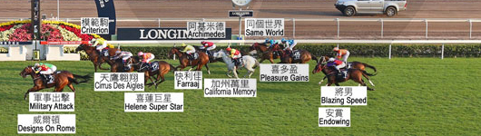Hongkongcup