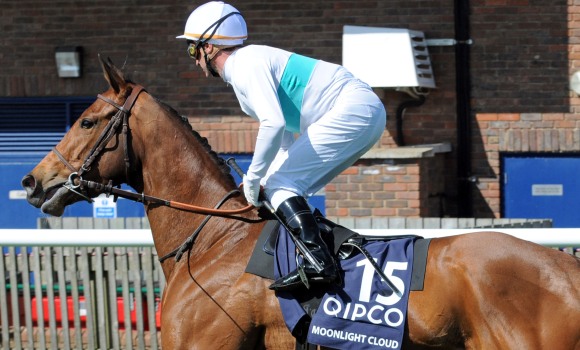 Кобыла Moonlight Cloud Кобыла Moonlight Cloud