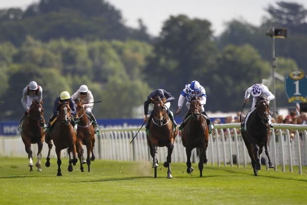 Queen%20anne%20stakes