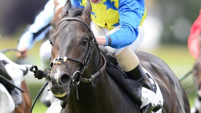 Скакун по кличке Novelist «романист» Скакун по кличке Novelist «романист»