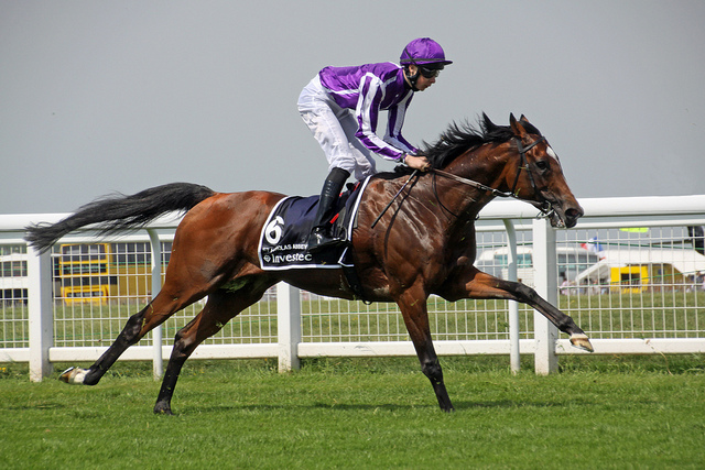 St.%20nicolas%20abbey