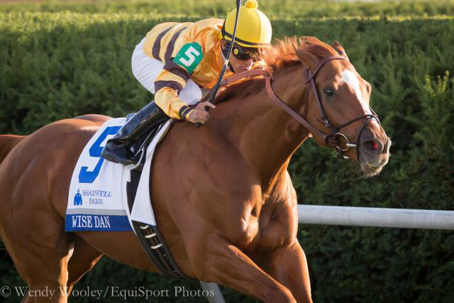 Wisedan