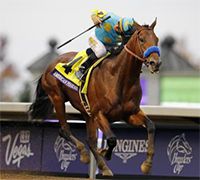 Americanpharoahmini10