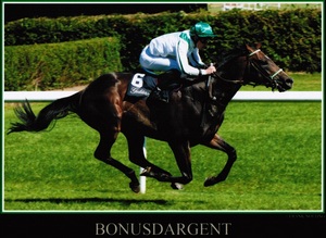 Bonusdargent%20minni