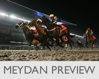 Dubai%20prieview%20mini