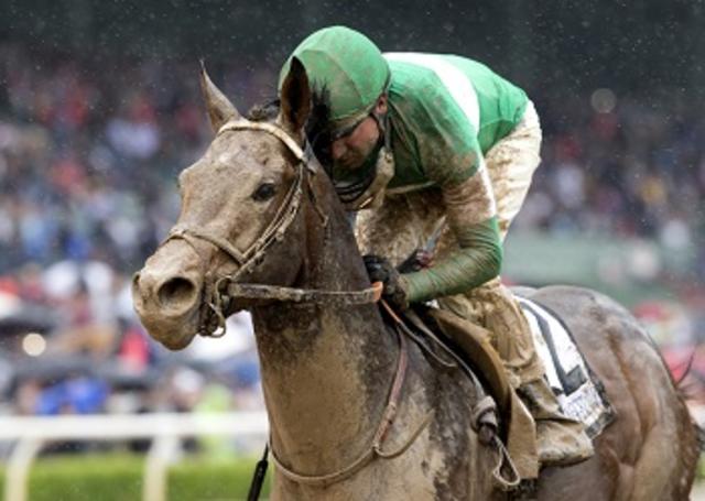 Exaggerator2