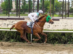 Golden%20halo%20mini