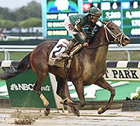 Greenpointcrusadermini