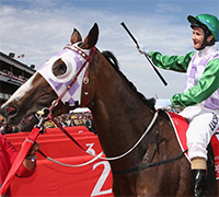 Princeofpenzancemini