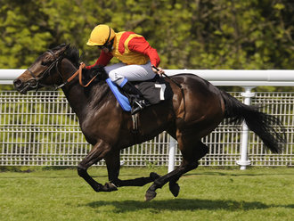 СНОУ ФЭРИ (Snow Fairy)