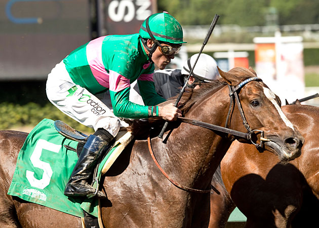 ziconicdebut ziconicdebut