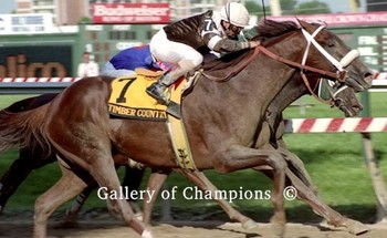 Timber Country 200x158