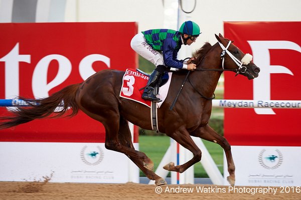 Cool Cowboy Cool Cowboy