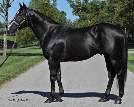 Arch Arch Arch Arch Arch Arch