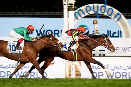 Real Steel Real Steel