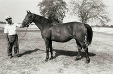 Courtly Dee Courtly Dee