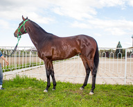 Джет Минарет (Jet Minaret)