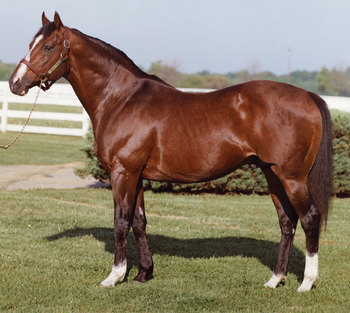 Northern Dancer