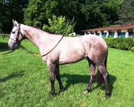 Via Aemilia 24.05.12