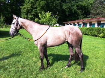 Via Aemilia 24.05.12