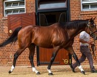 Frankel