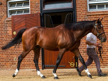 Frankel