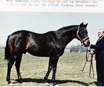War Admiral