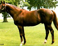 Alydar