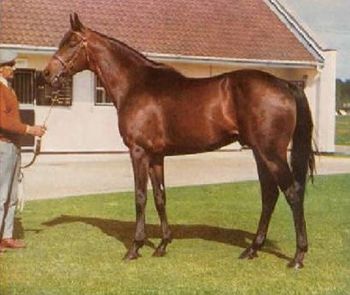 Mill Reef