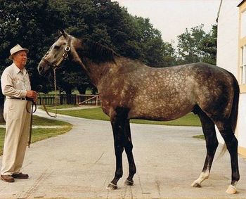 Spectacular Bid