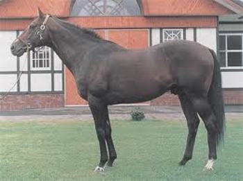 Dancing Brave