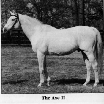 The Axe