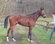 Panesidora 24.01.2014