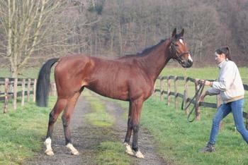 Panesidora 24.01.2014