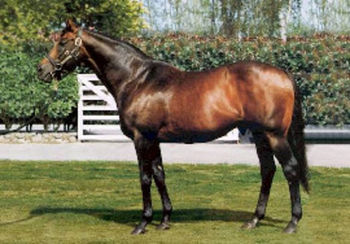 Zabeel