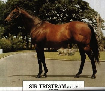 Sir Tristram