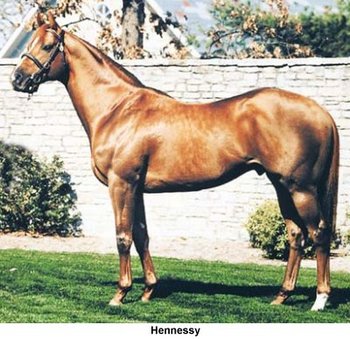 Hennessy