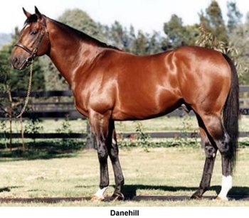 Danehill