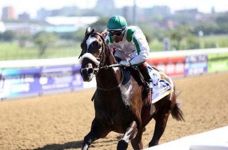 Winter Is Coming Big